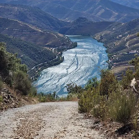 Malu Pinhal do Douro