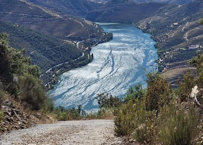 Malu Pinhal do Douro